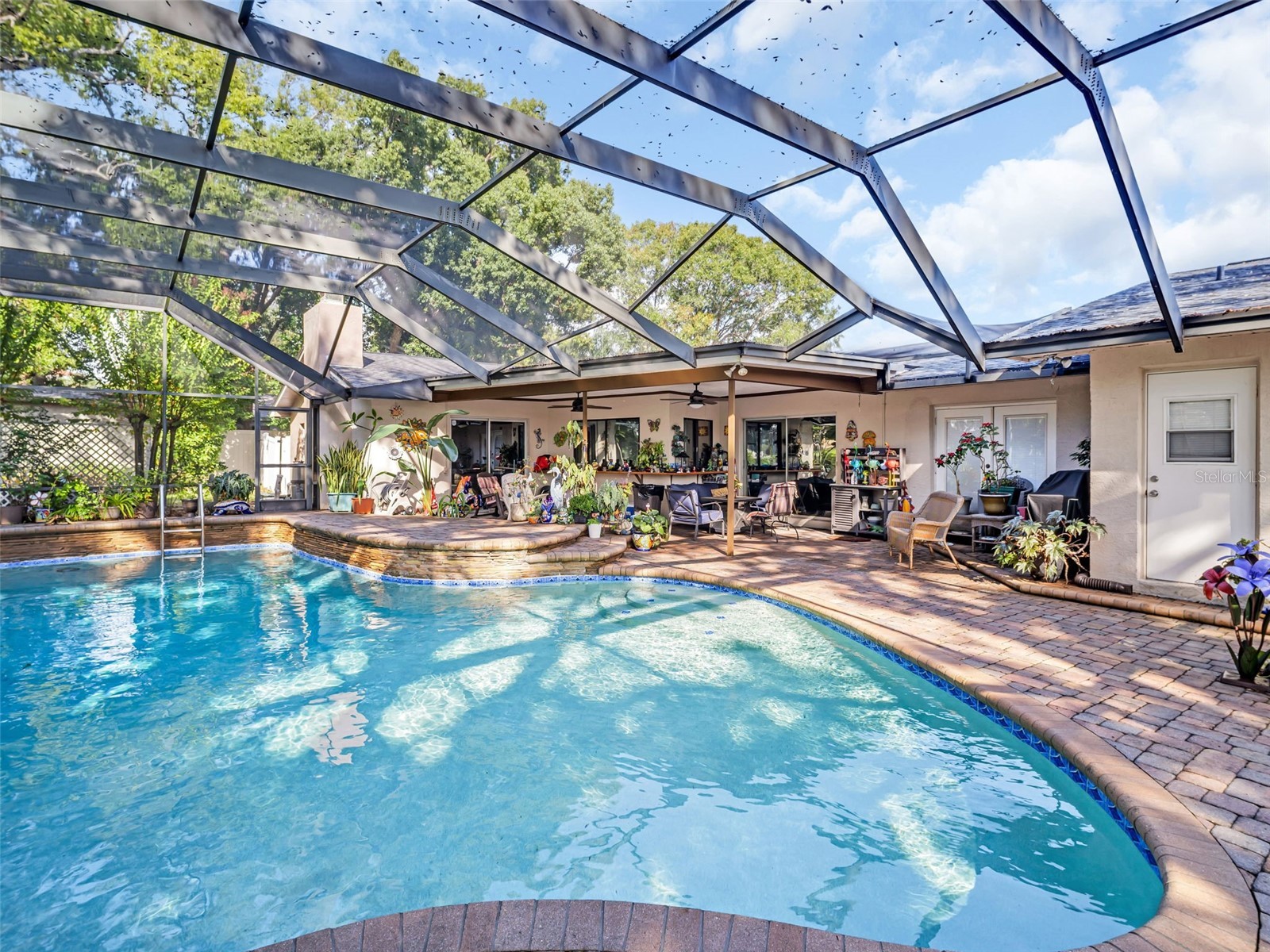 3061 Alt 19 Palm Harbor FL 34683 TB8480125 image45