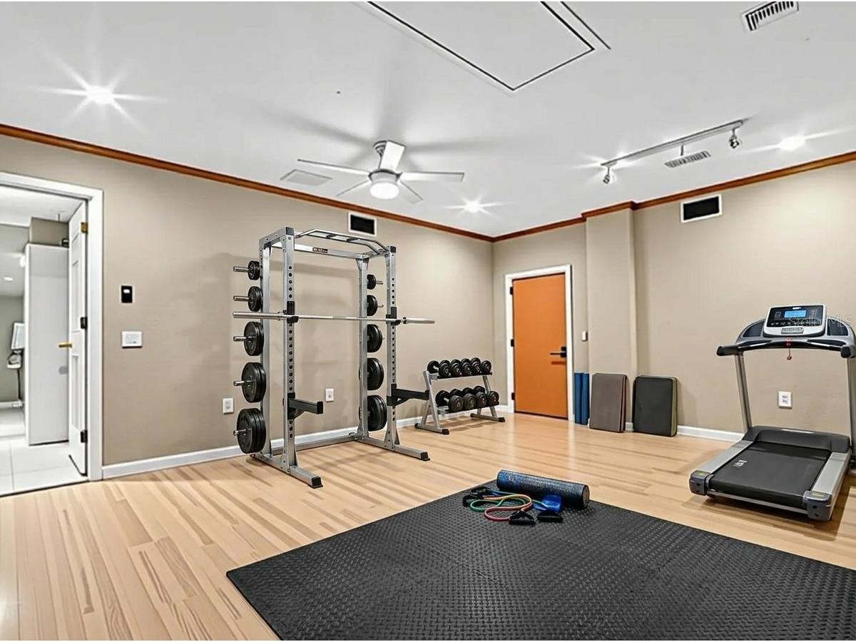 3061 Alt 19 Palm Harbor FL 34683 TB8480125 image85