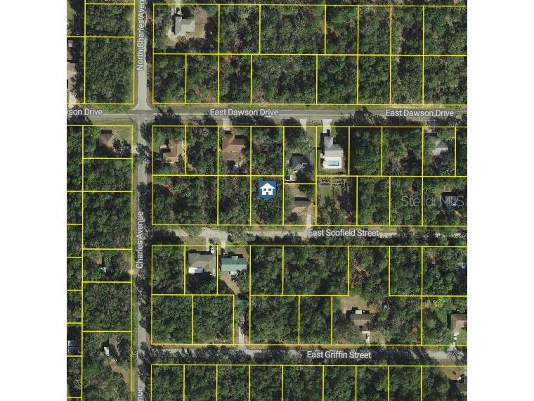 3061 E Scofield Street Inverness FL 34453 W7882169 image1