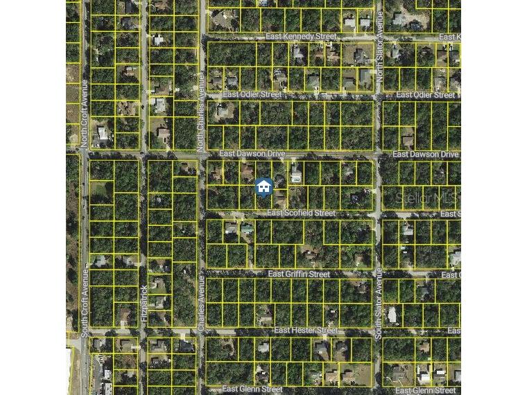 3061 E Scofield Street Inverness FL 34453 W7882169 image2