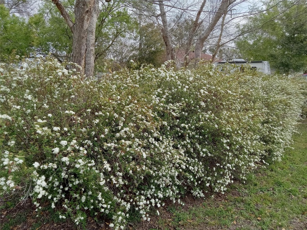 3061 NW 49th Avenue Ocala FL 34482 OM715076 image42