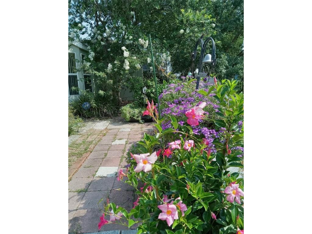 3061 NW 49th Avenue Ocala FL 34482 OM715076 image43