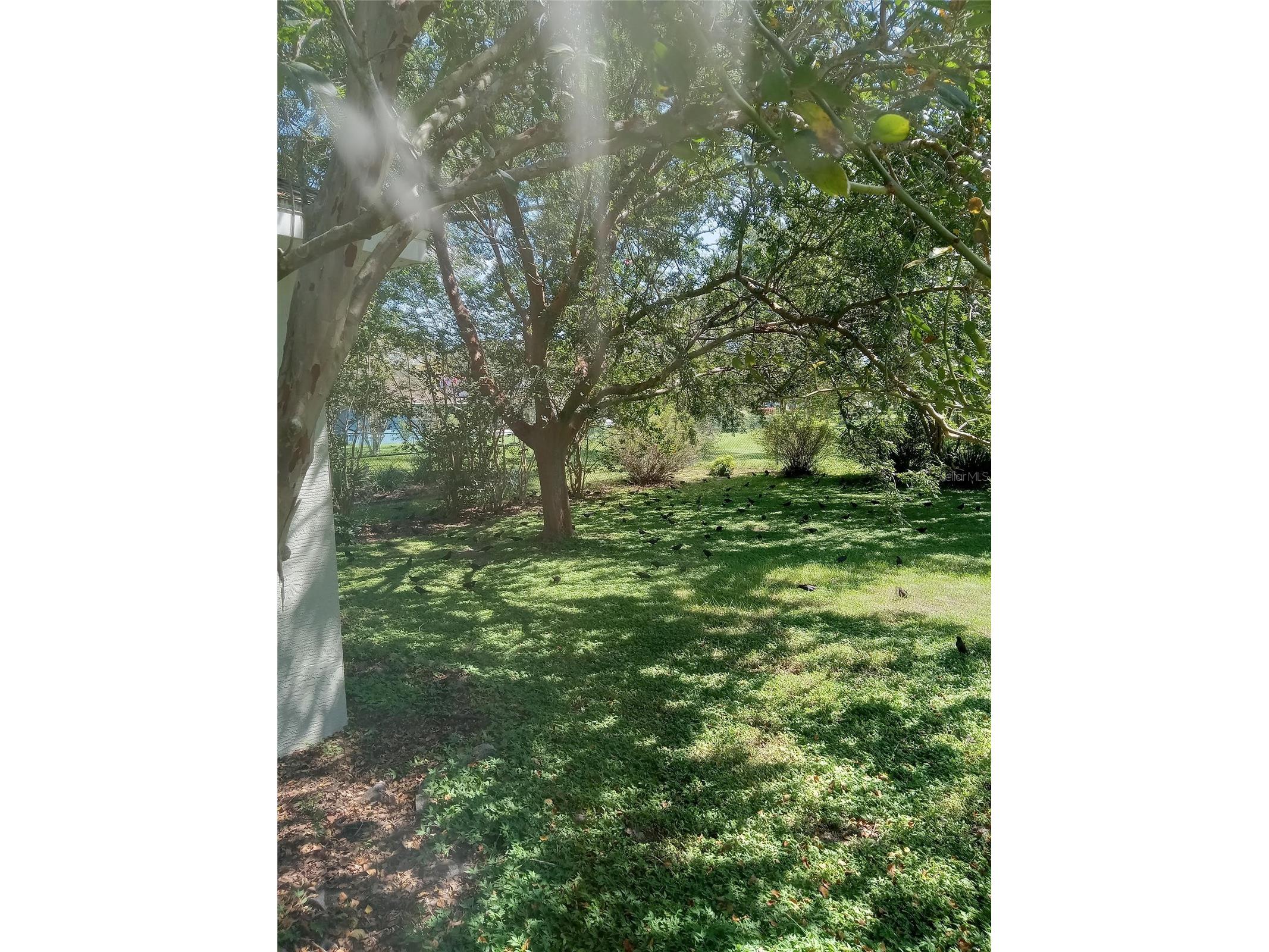 3061 NW 49th Avenue Ocala FL 34482 OM715076 image49
