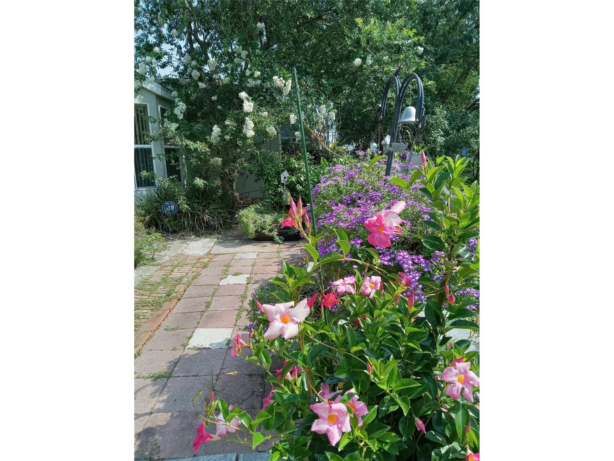 3061 NW 49th Avenue Ocala FL 34482 OM715076 image51