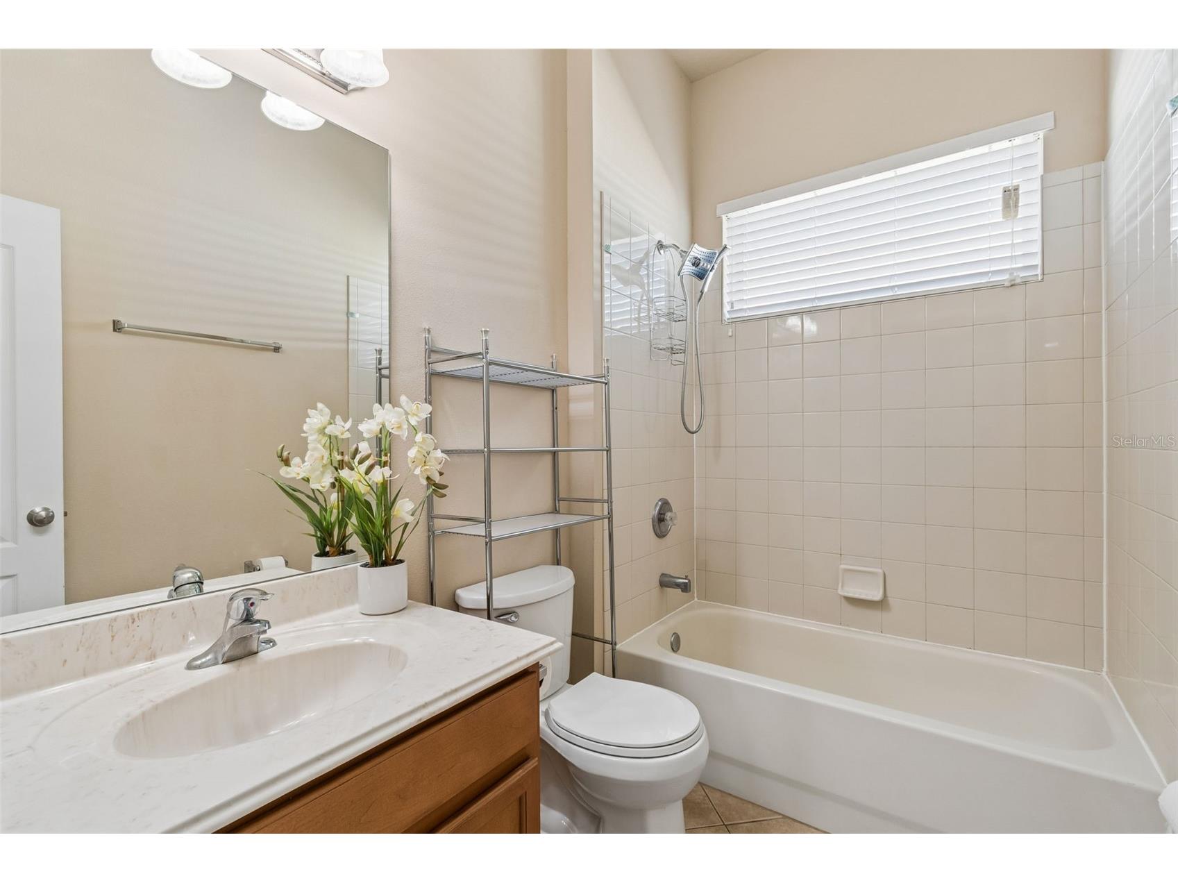 30610 Casewell Place Wesley Chapel FL 33545 TB8493601 image10