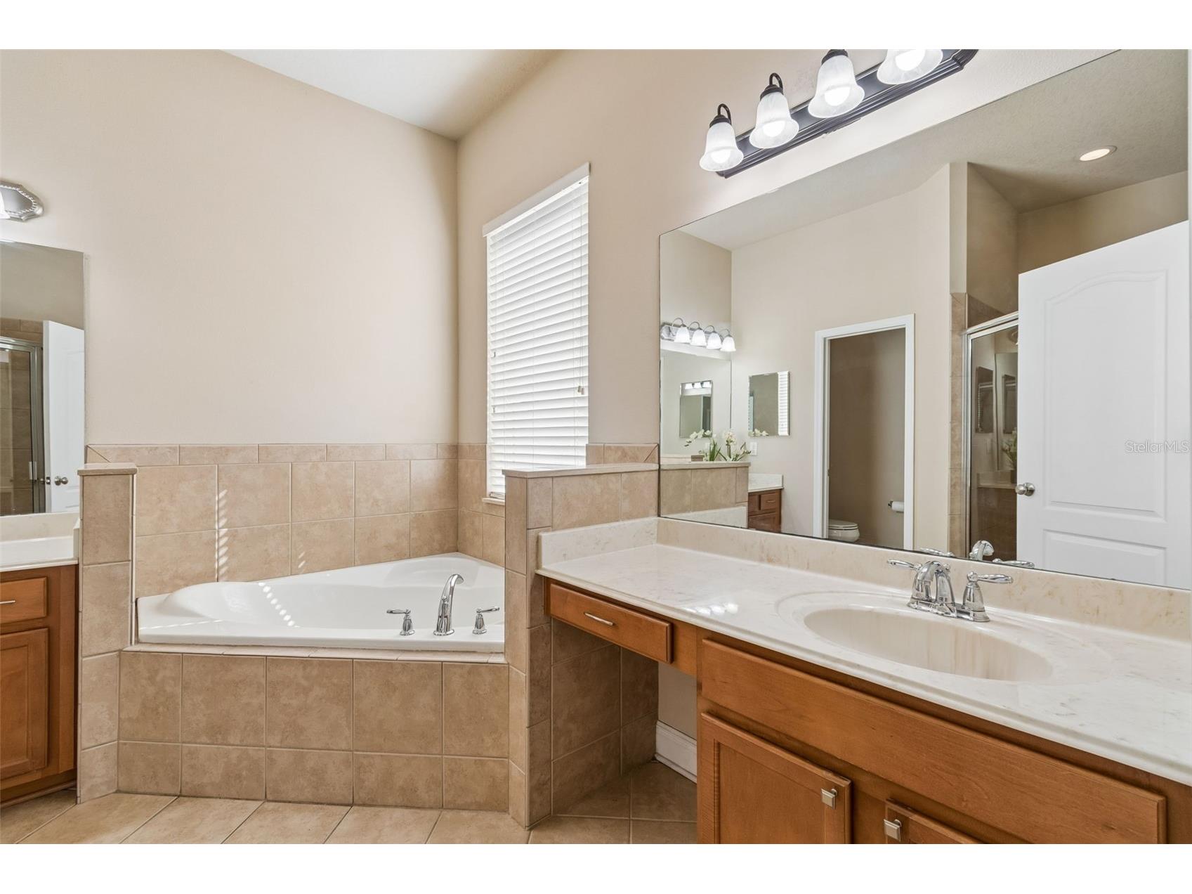 30610 Casewell Place Wesley Chapel FL 33545 TB8493601 image29