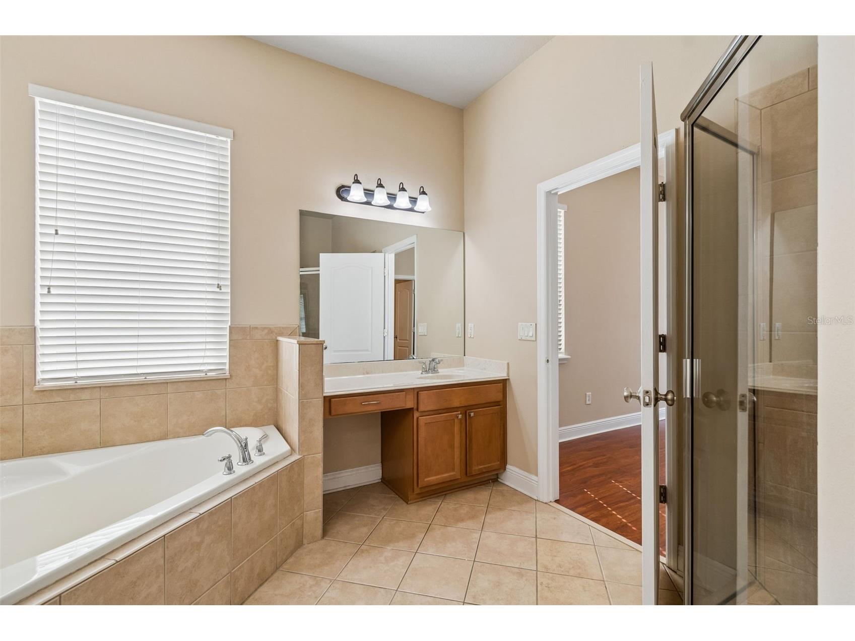 30610 Casewell Place Wesley Chapel FL 33545 TB8493601 image30