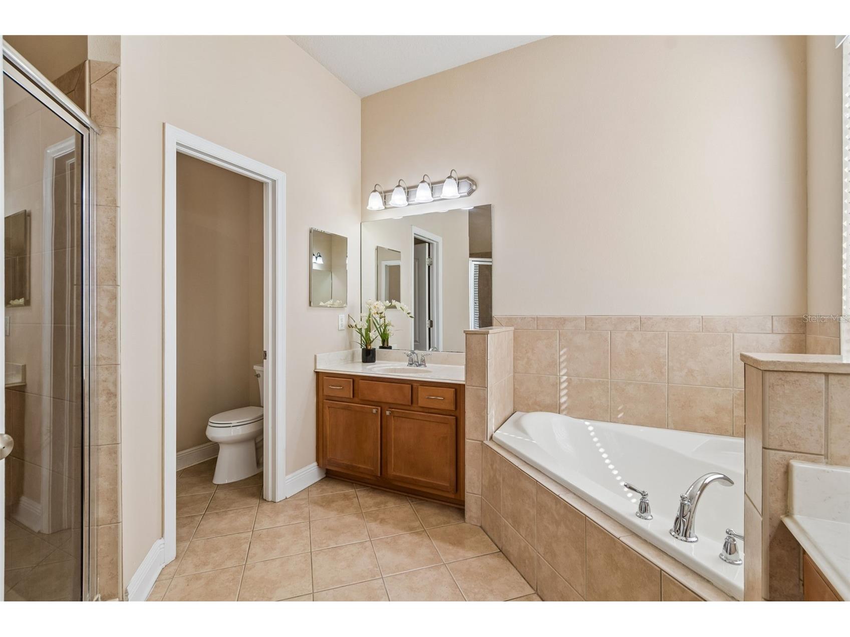 30610 Casewell Place Wesley Chapel FL 33545 TB8493601 image31