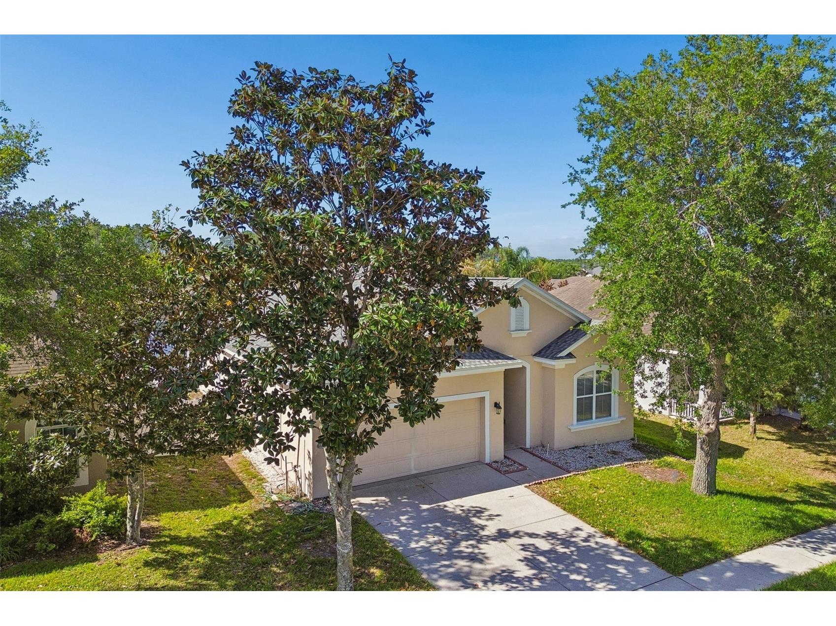 30610 Casewell Place Wesley Chapel FL 33545 TB8493601 image34