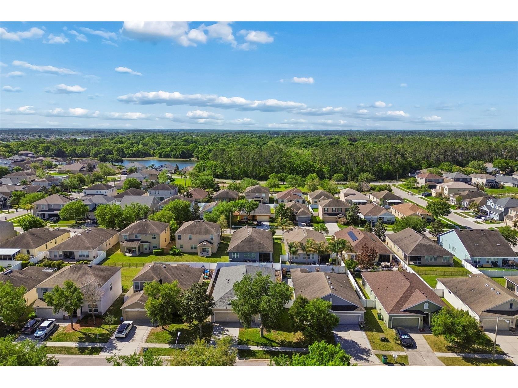 30610 Casewell Place Wesley Chapel FL 33545 TB8493601 image40