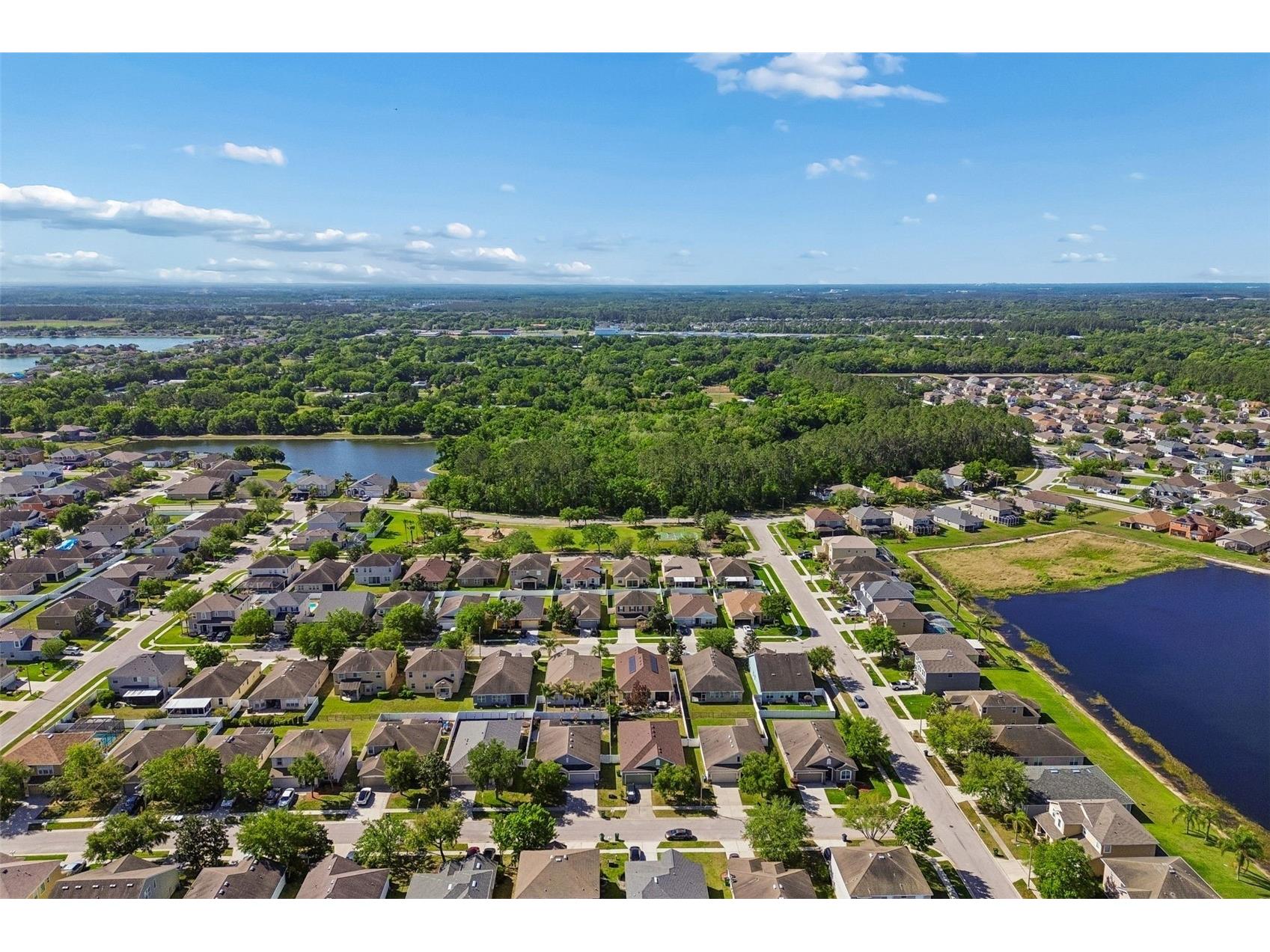 30610 Casewell Place Wesley Chapel FL 33545 TB8493601 image42