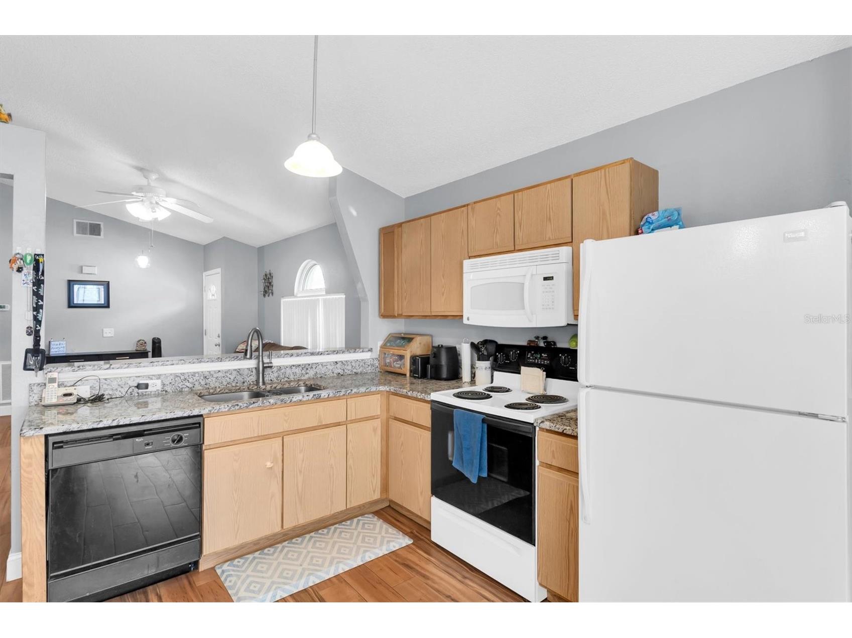 30610 Double Drive Wesley Chapel FL 33545 TB8508098 image8