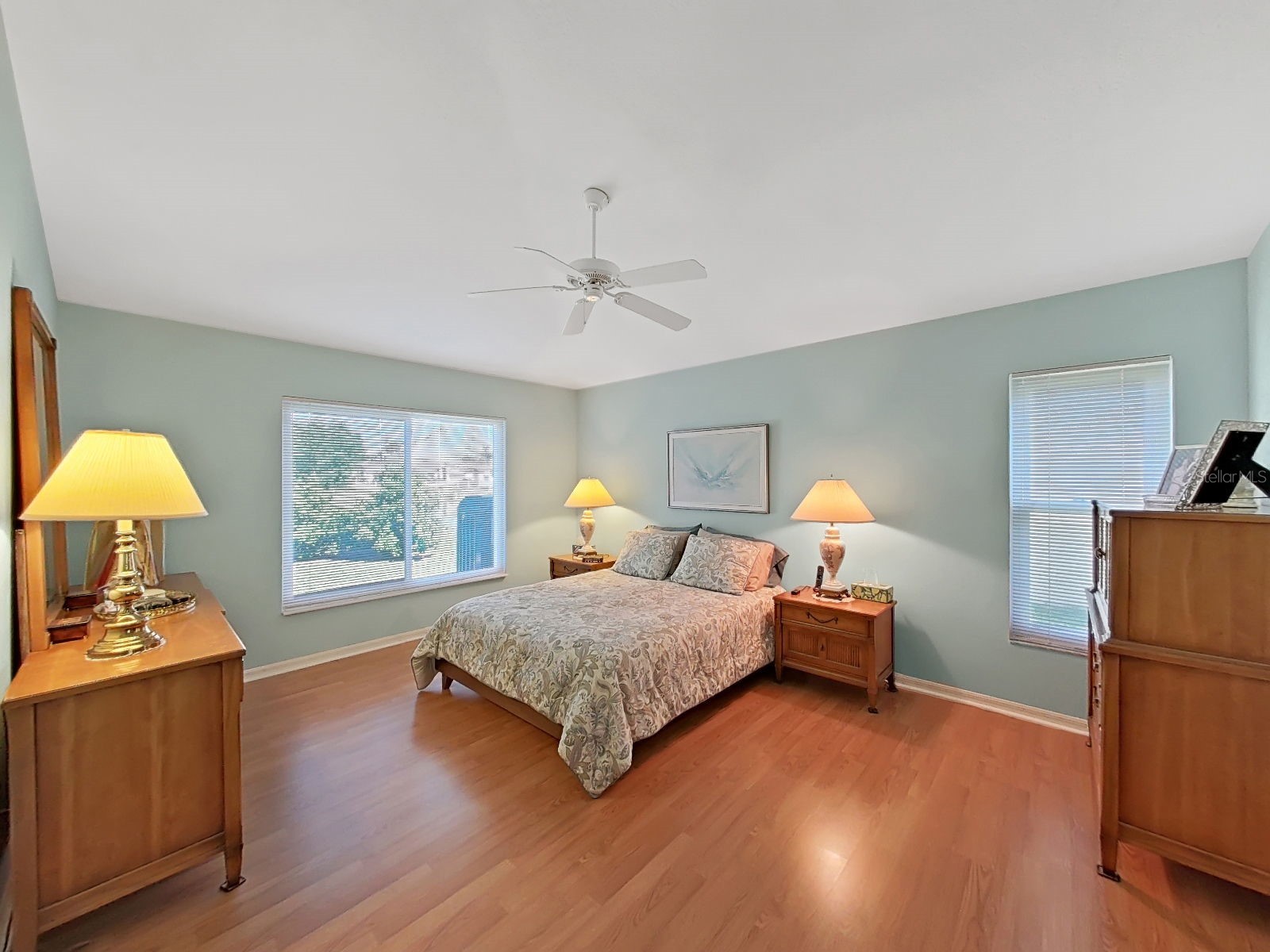 30612 Nickerson Loop Wesley Chapel FL 33543 TB8498381 image23