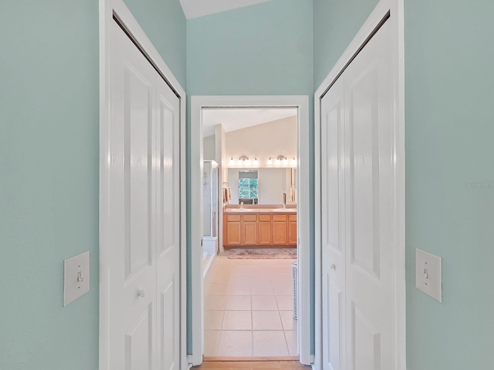 30612 Nickerson Loop Wesley Chapel FL 33543 TB8498381 image26