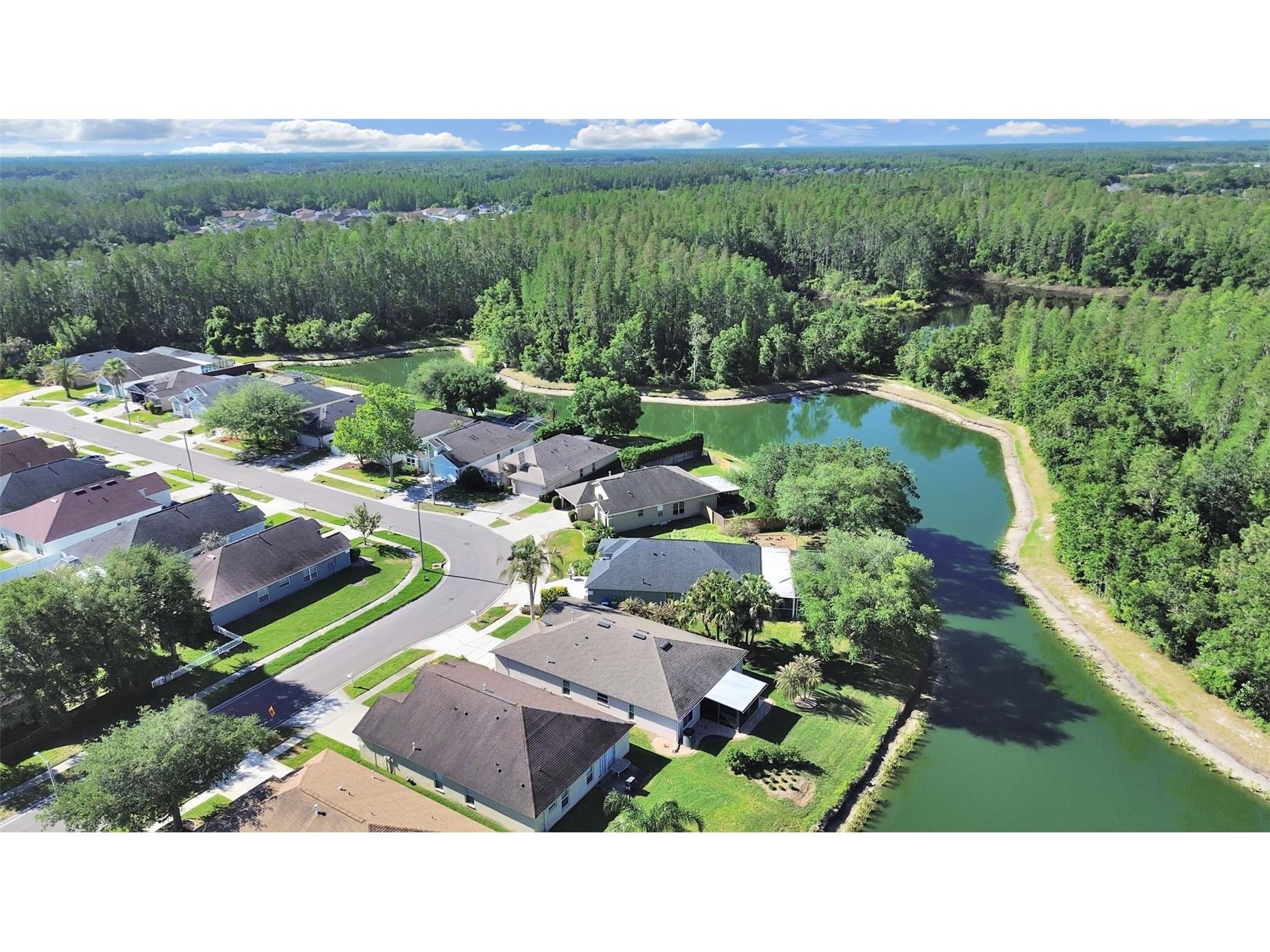 30612 Nickerson Loop Wesley Chapel FL 33543 TB8498381 image3