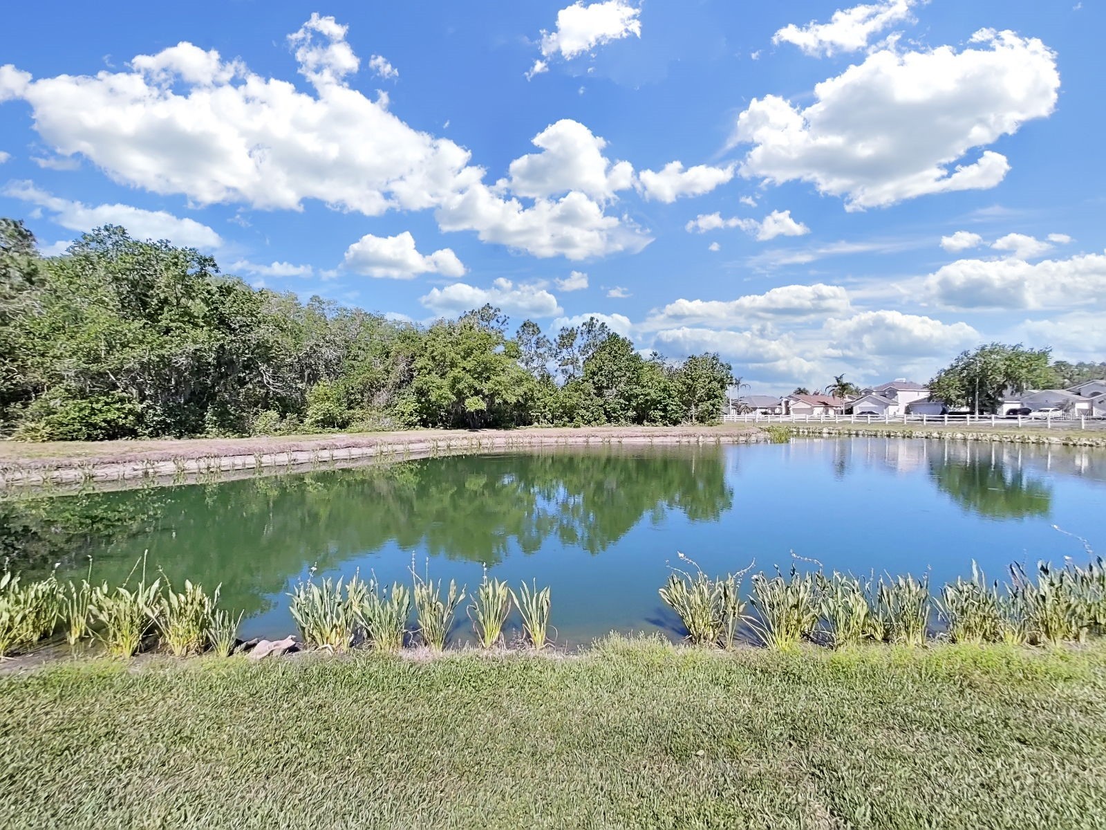 30612 Nickerson Loop Wesley Chapel FL 33543 TB8498381 image46