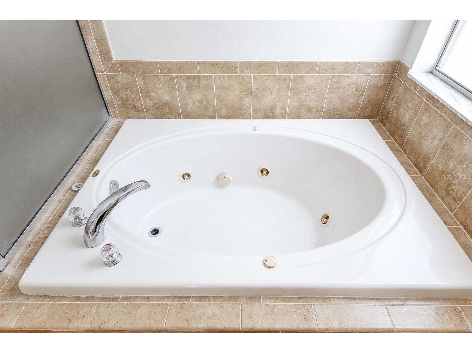 30612 Palmerston Place Wesley Chapel FL 33545 O6417566 image16
