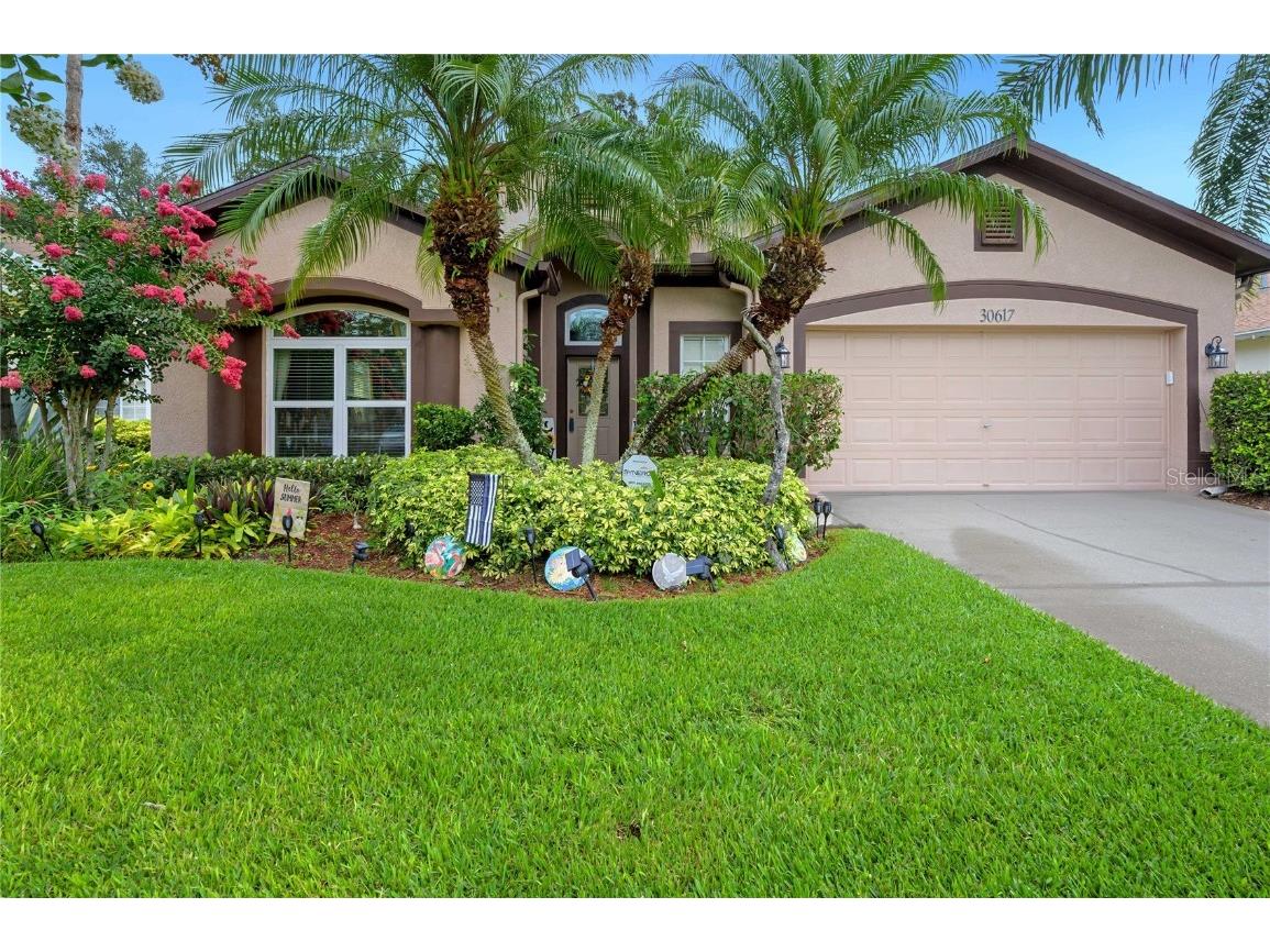 30617 Lanesborough Circle Wesley Chapel FL 33543 T3524049 image1