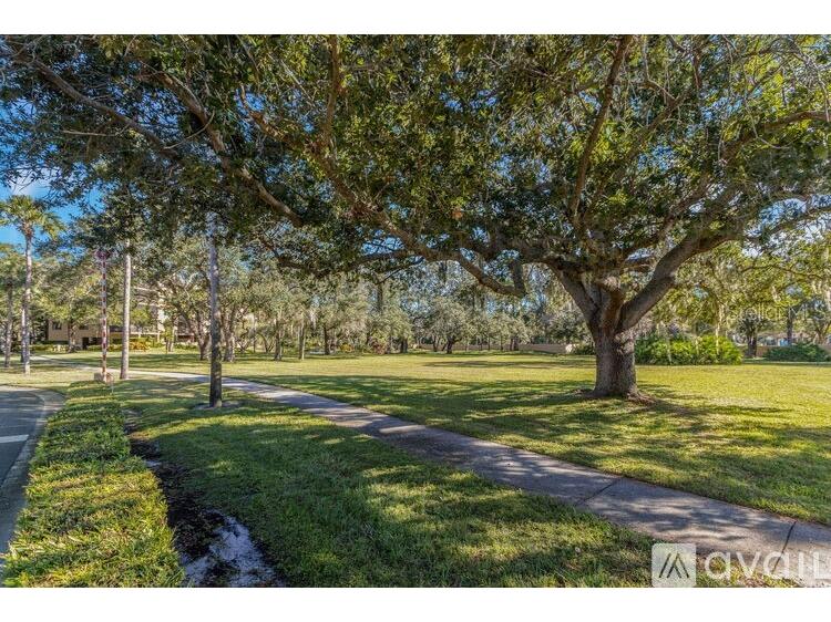 3062 Eastland Blvd #407 Clearwater FL 33761 TB8417016 image20