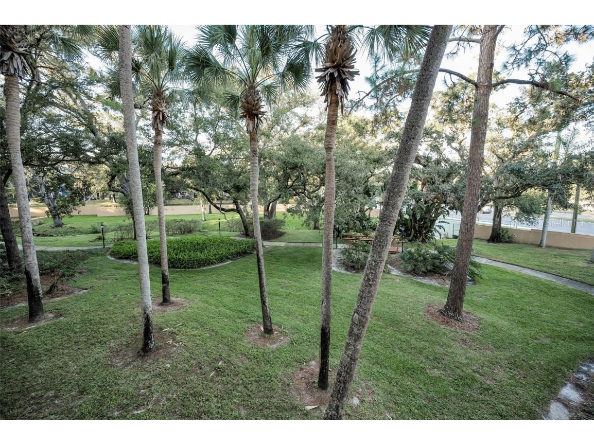 3062 Eastland Boulevard #105 Clearwater FL 33761 TB8439786 image23