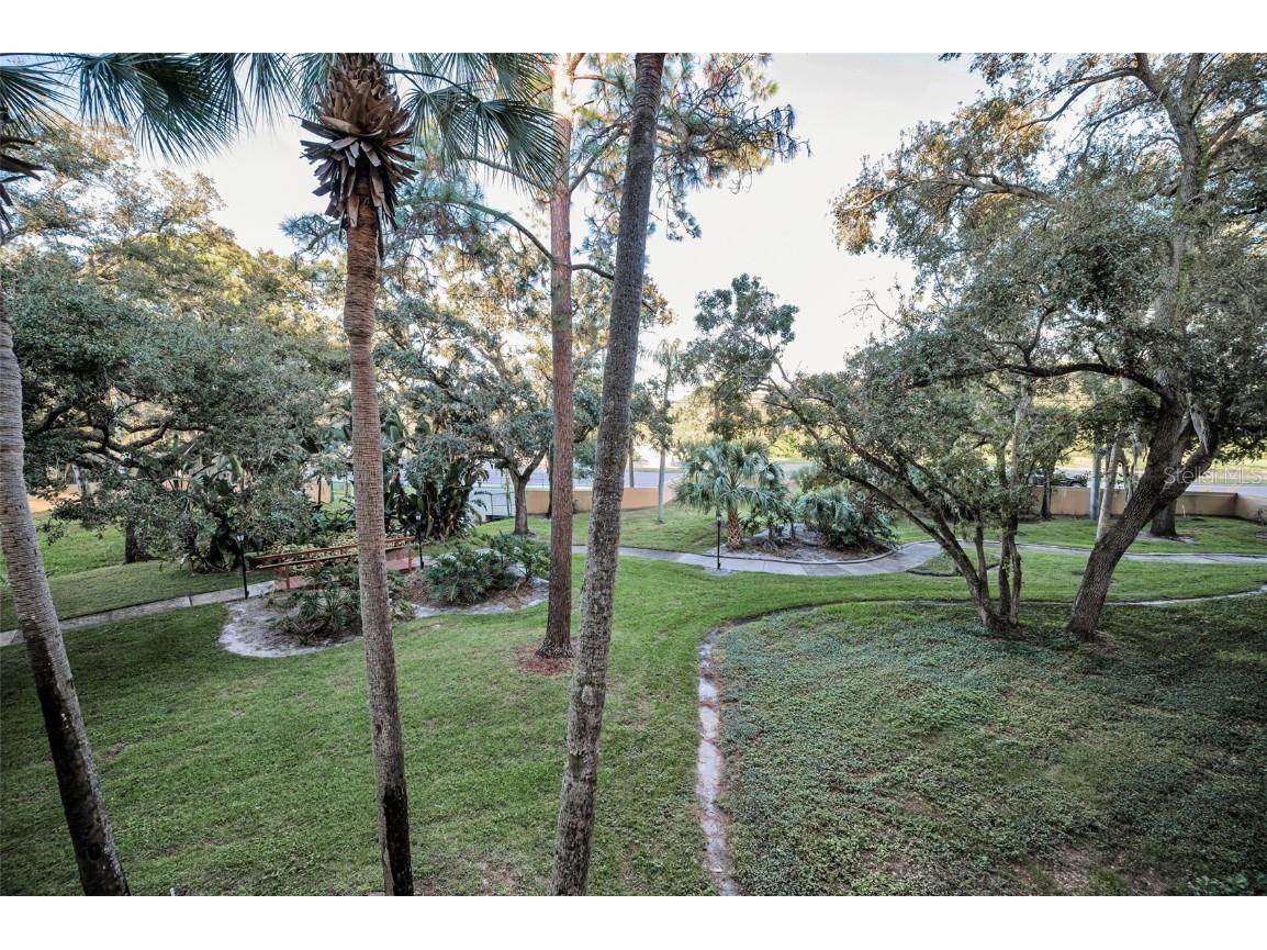3062 Eastland Boulevard #105 Clearwater FL 33761 TB8439786 image25