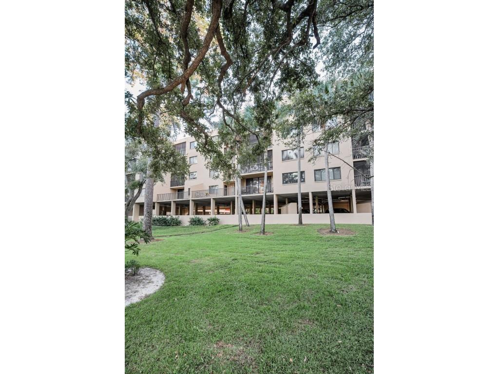 3062 Eastland Boulevard #105 Clearwater FL 33761 TB8439786 image49