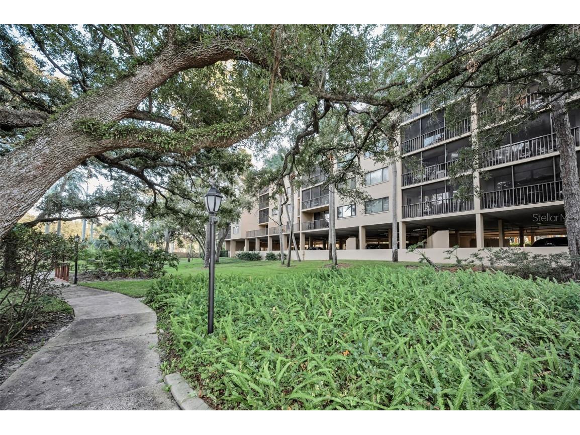 3062 Eastland Boulevard #105 Clearwater FL 33761 TB8439786 image50