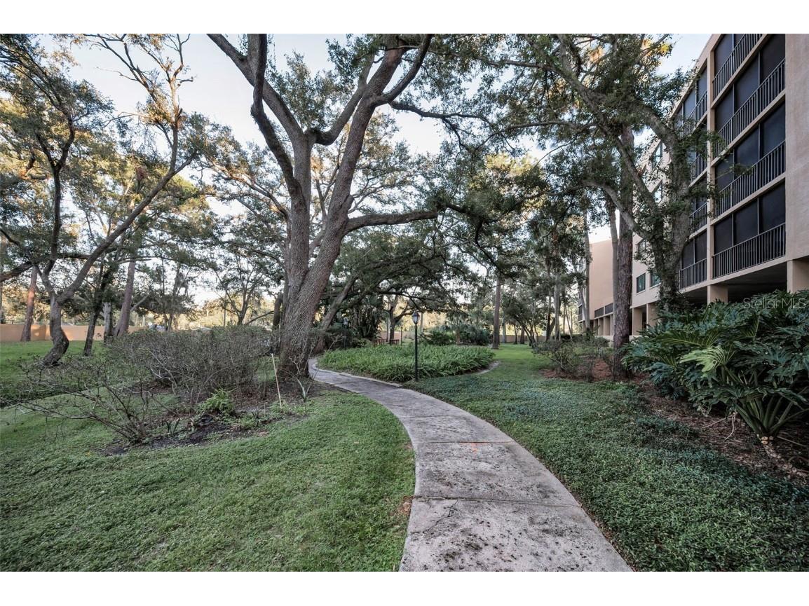 3062 Eastland Boulevard #105 Clearwater FL 33761 TB8439786 image51