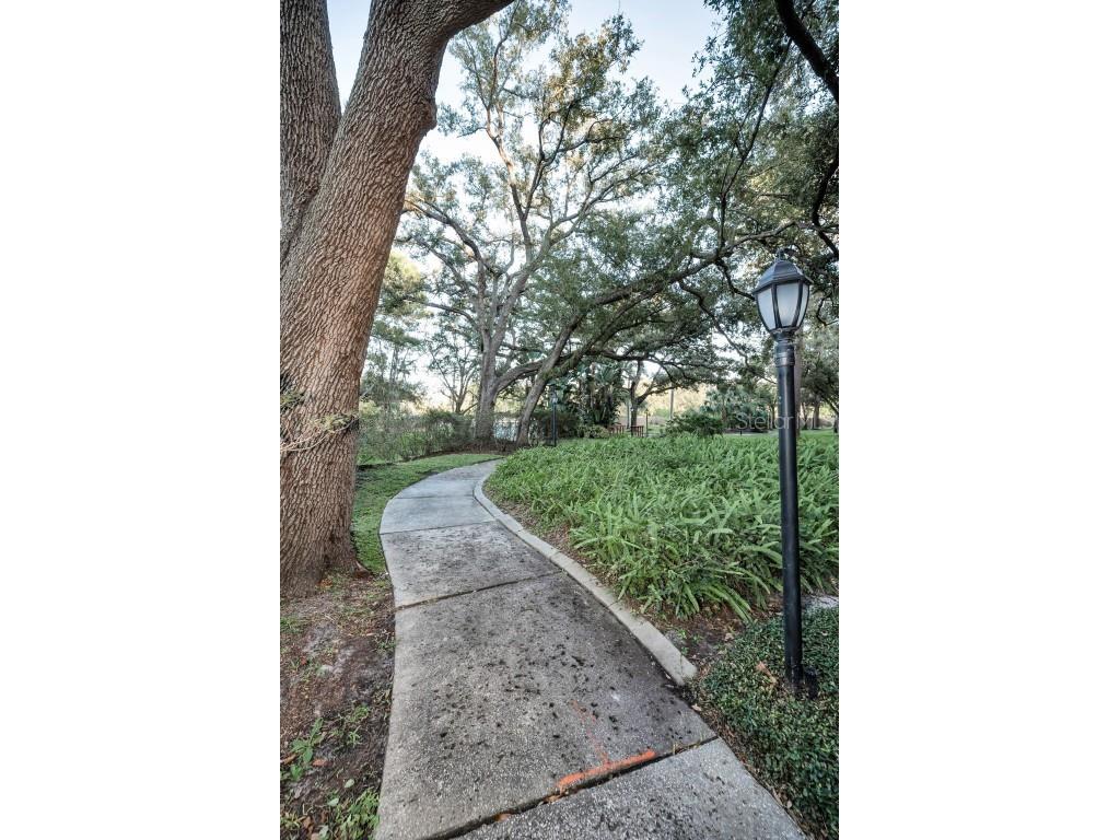 3062 Eastland Boulevard #105 Clearwater FL 33761 TB8439786 image52