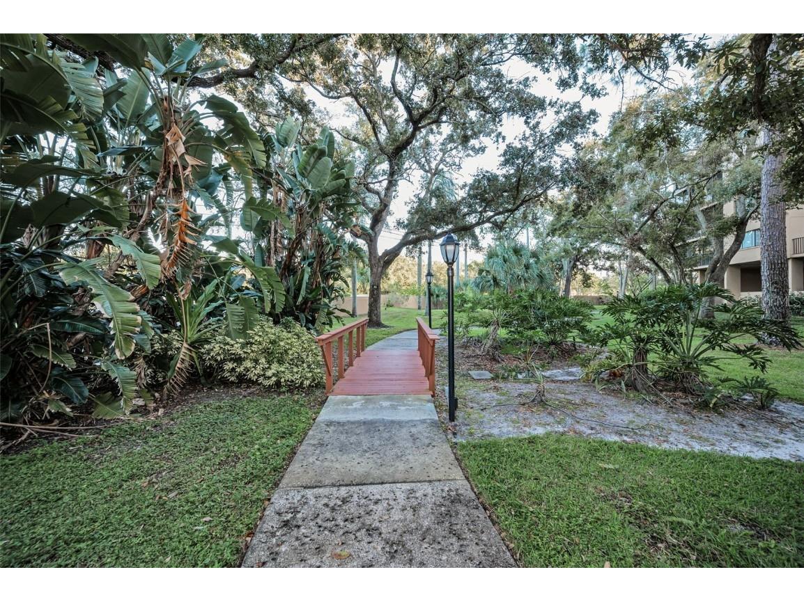 3062 Eastland Boulevard #105 Clearwater FL 33761 TB8439786 image53