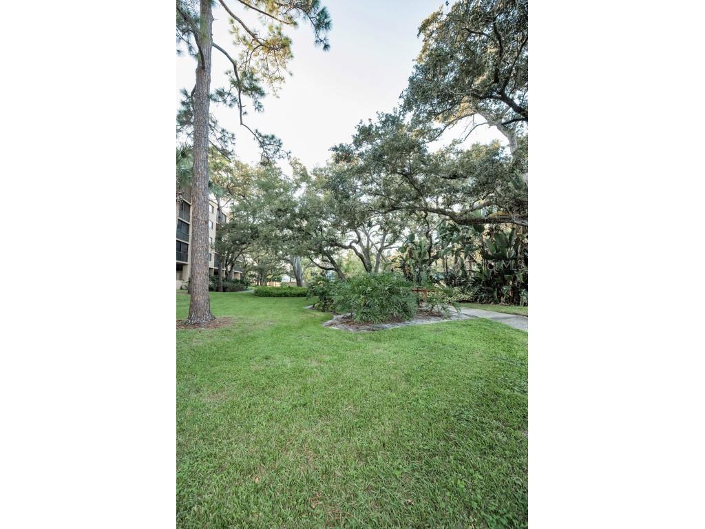 3062 Eastland Boulevard #105 Clearwater FL 33761 TB8439786 image55