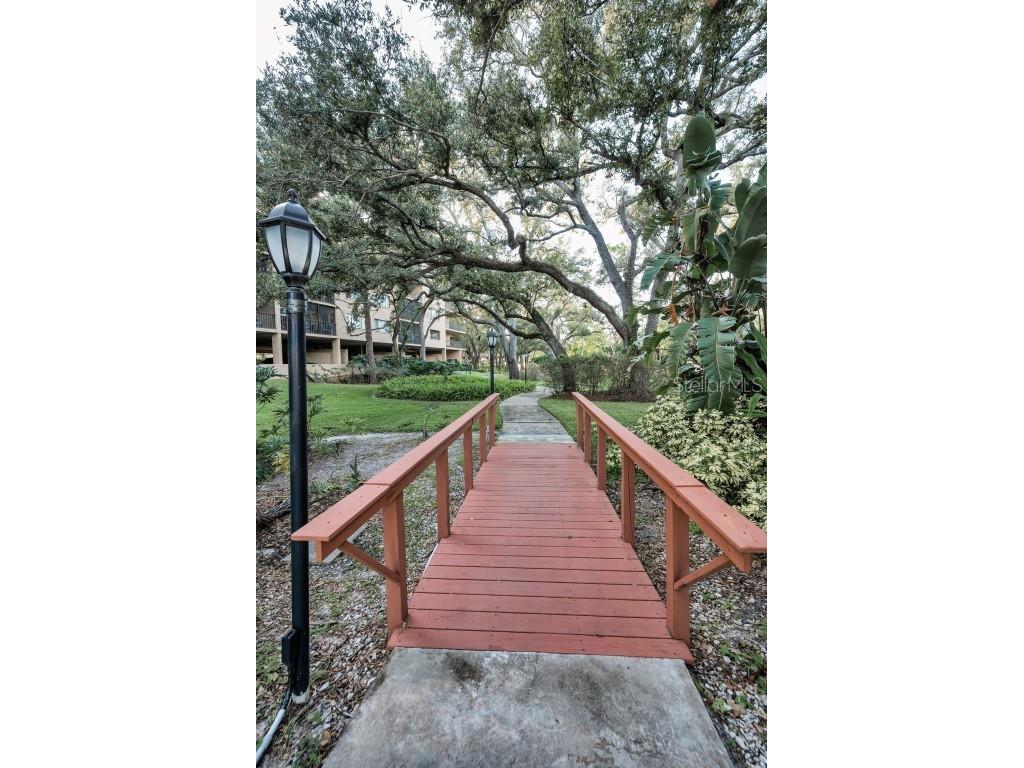 3062 Eastland Boulevard #105 Clearwater FL 33761 TB8439786 image57