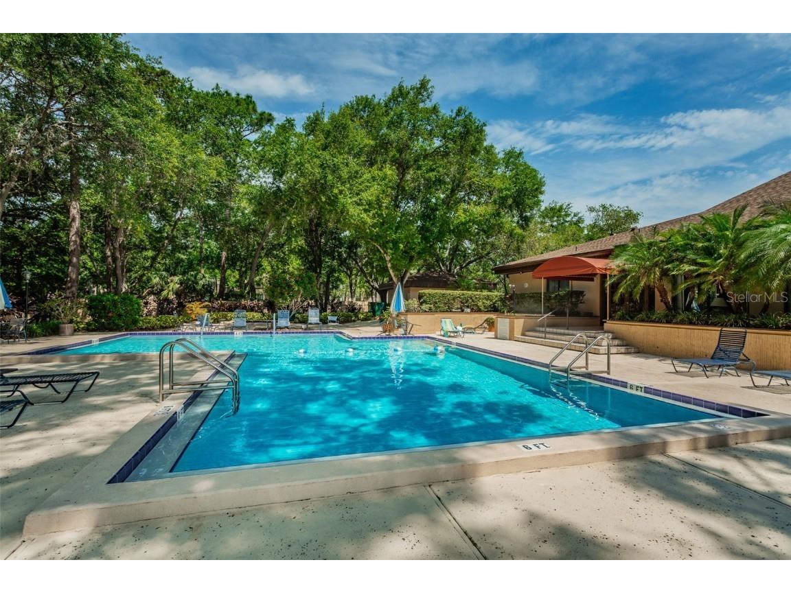 3062 Eastland Boulevard #105 Clearwater FL 33761 TB8439786 image80