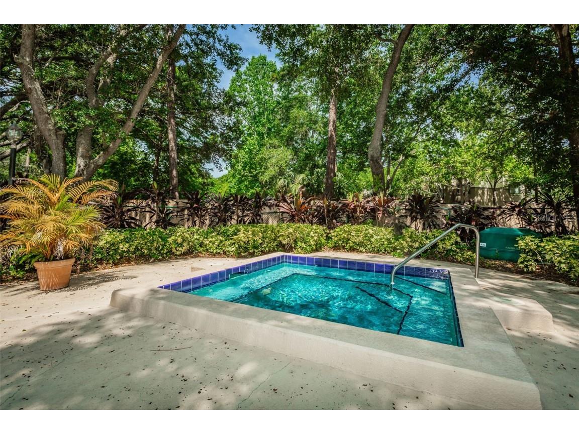 3062 Eastland Boulevard #105 Clearwater FL 33761 TB8439786 image83