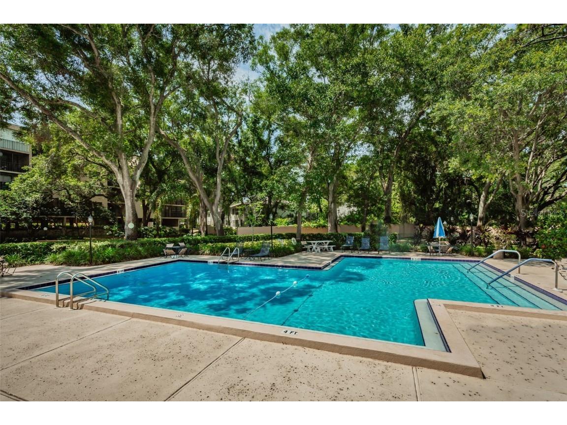 3062 Eastland Boulevard #308 Clearwater FL 33761 TB8399489 image45