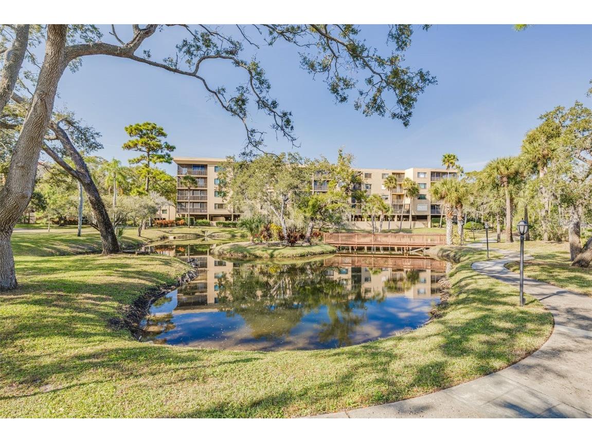 3062 Eastland Boulevard #406 Clearwater FL 33761 TB8453812 image20