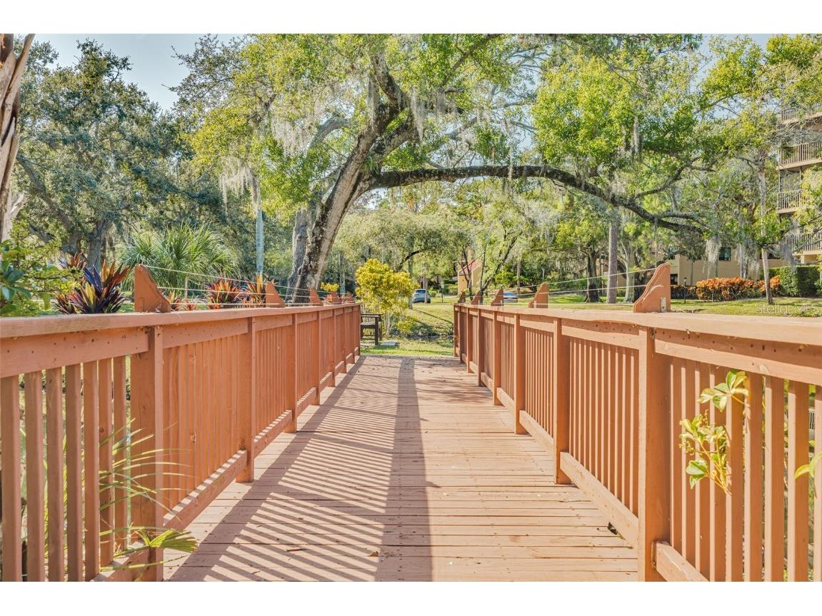 3062 Eastland Boulevard #406 Clearwater FL 33761 TB8453812 image21