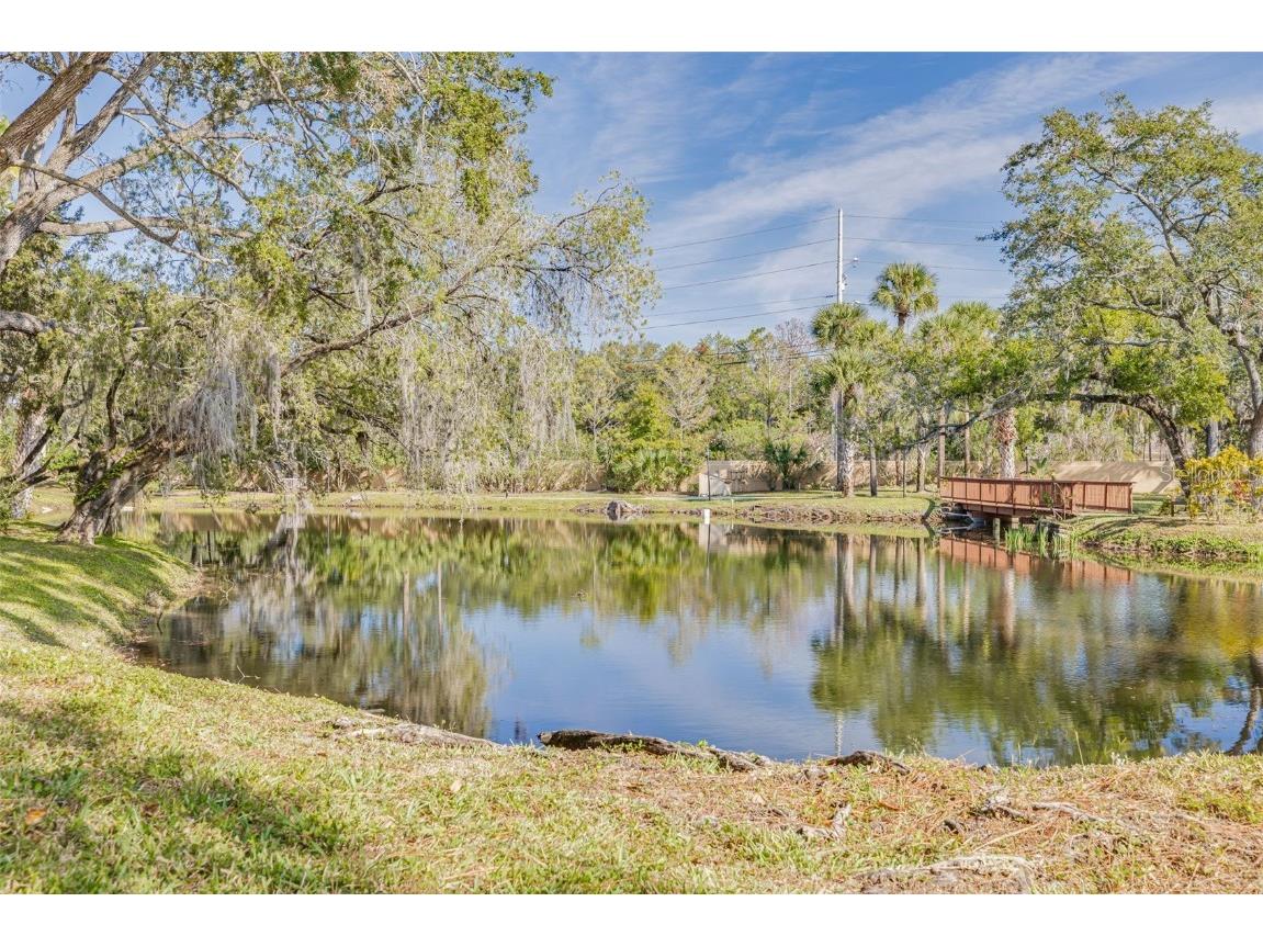 3062 Eastland Boulevard #406 Clearwater FL 33761 TB8453812 image22