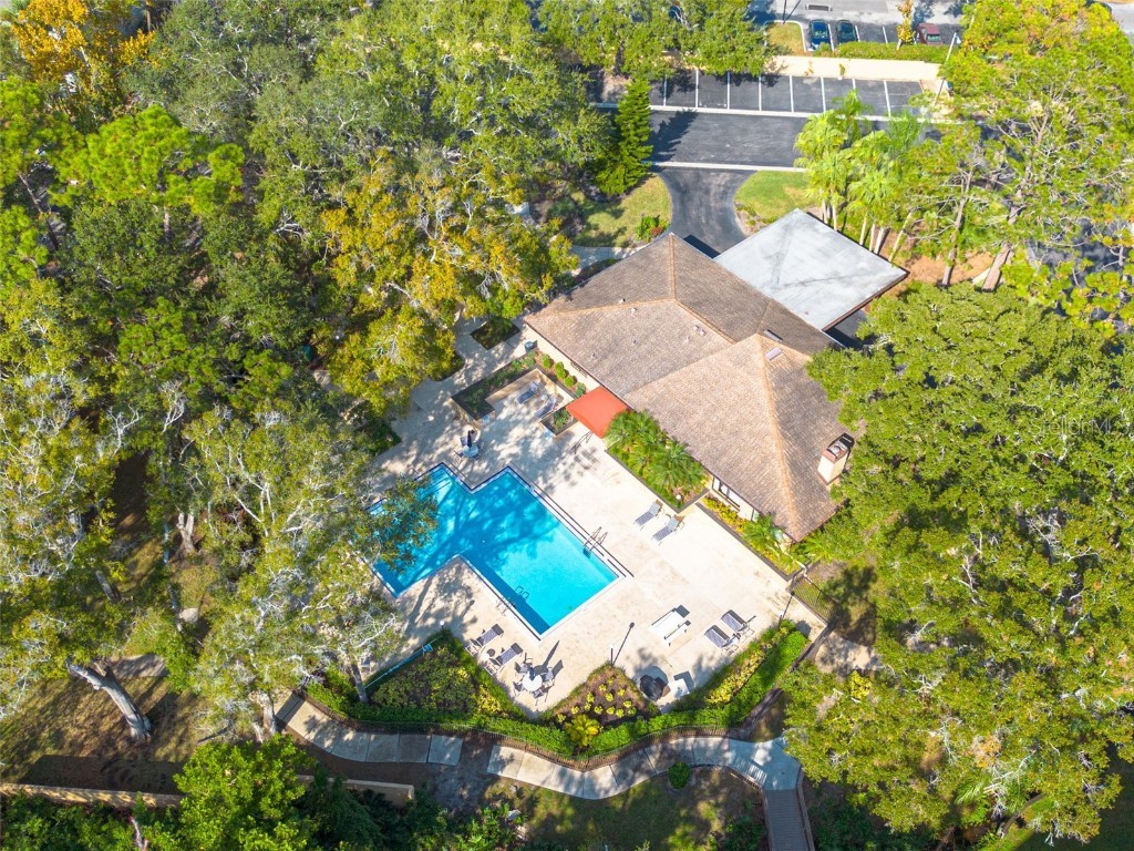 3062 Eastland Boulevard #406 Clearwater FL 33761 TB8453812 image24