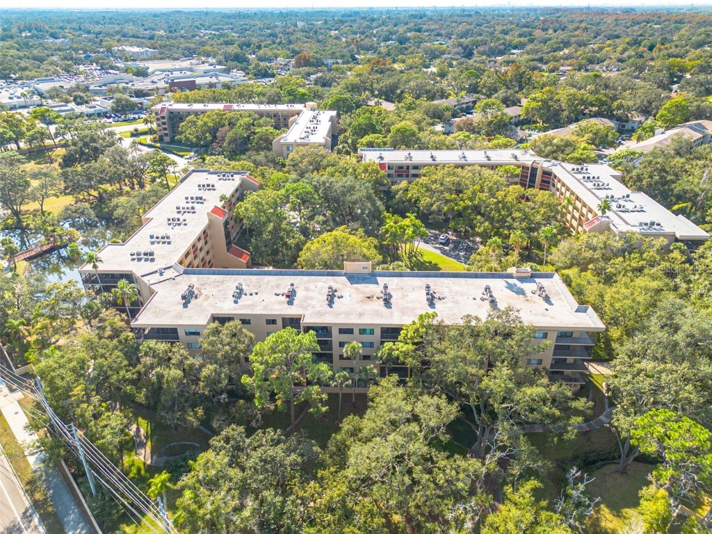 3062 Eastland Boulevard #406 Clearwater FL 33761 TB8453812 image25