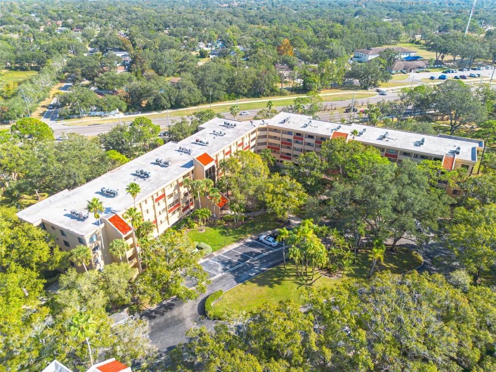 3062 Eastland Boulevard #406 Clearwater FL 33761 TB8453812 image28