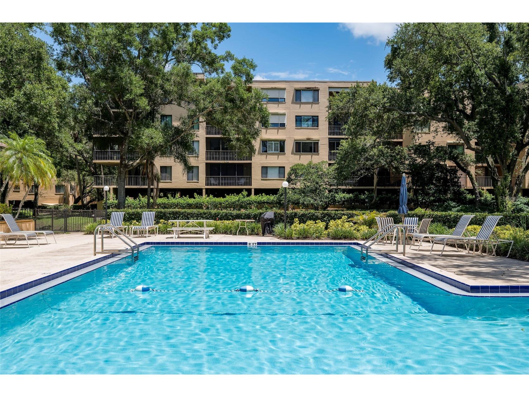 3062 Eastland Boulevard #406 Clearwater FL 33761 TB8521671 image38