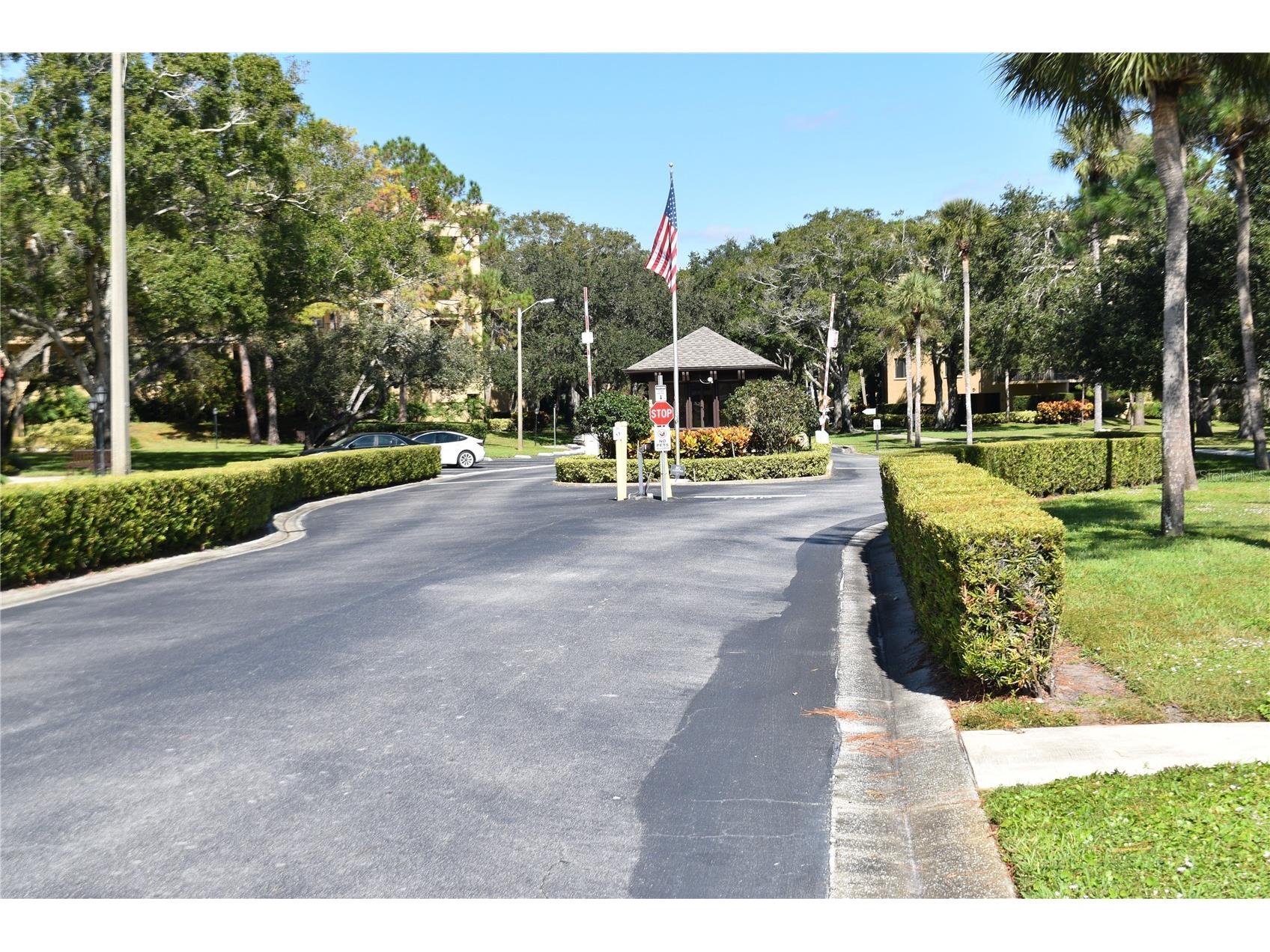 3062 Eastland Boulevard #406 Clearwater FL 33761 TB8521671 image43