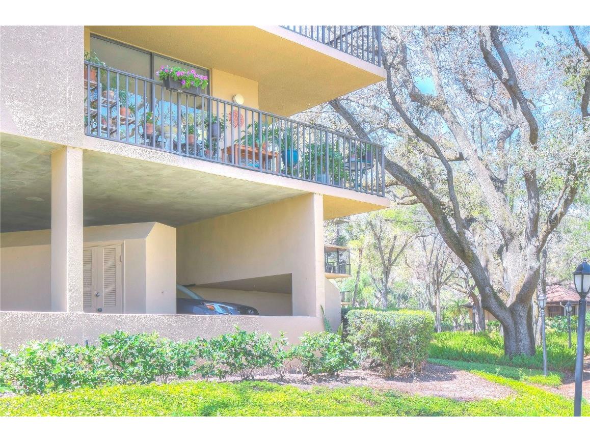 3062 Eastland Boulevard #D-101 Clearwater FL 33761 U8235132 image1