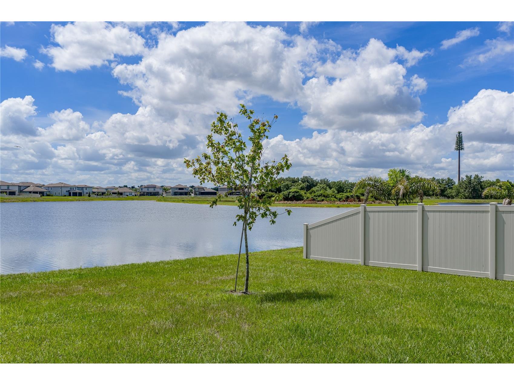 3062 Living Coral Street Wimauma FL 33598 TB8521557 image50