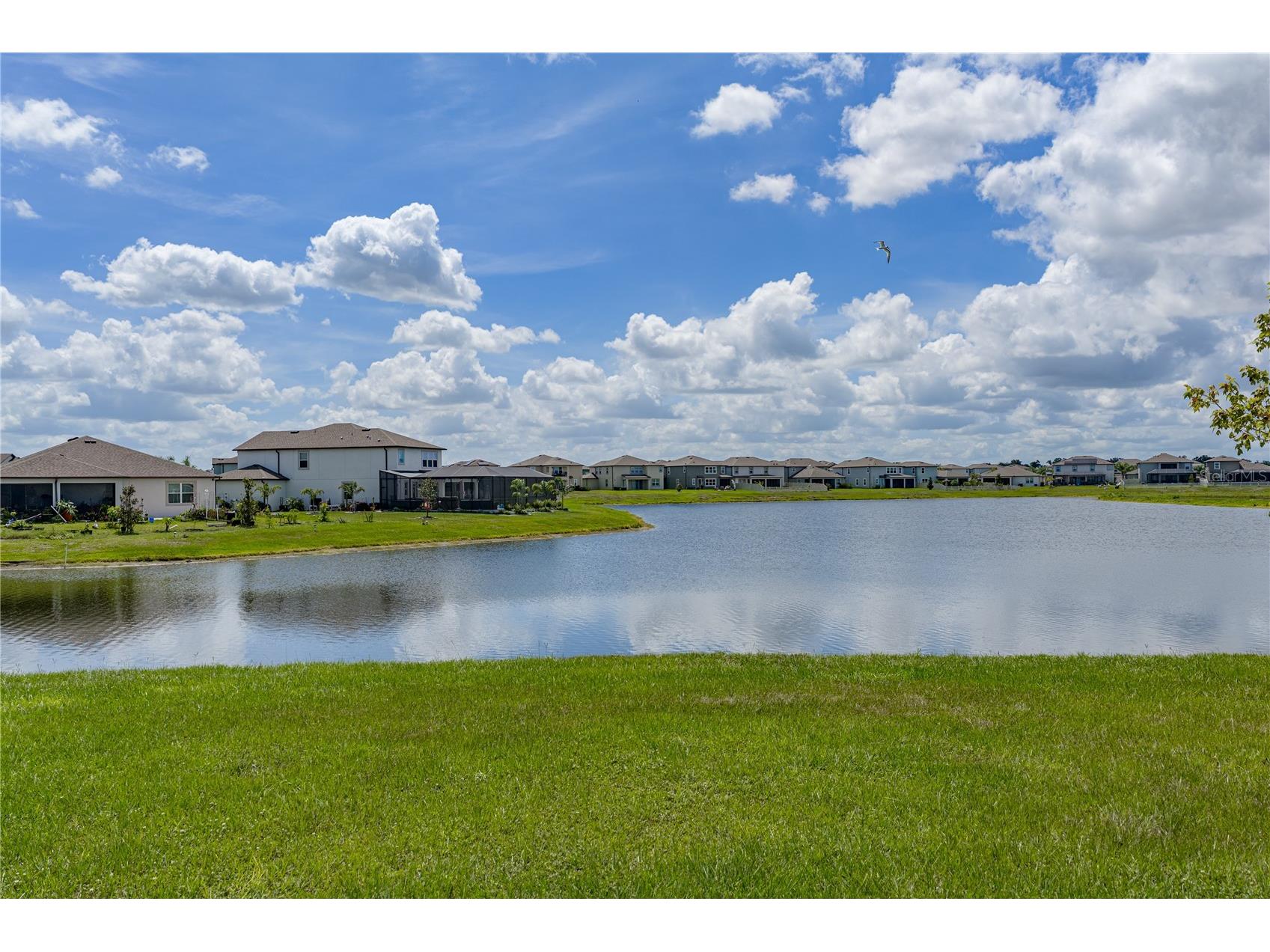 3062 Living Coral Street Wimauma FL 33598 TB8521557 image51