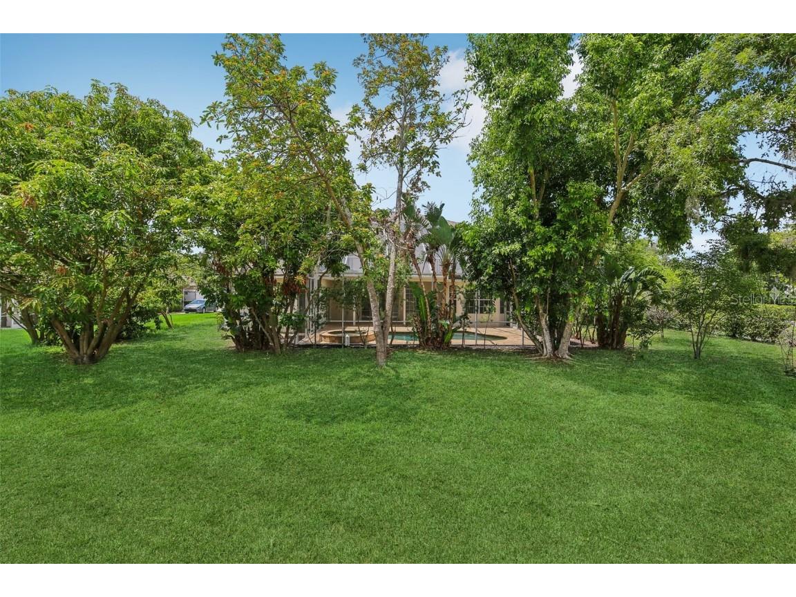 3062 Sutton Woods Drive Plant City FL 33566 TB8392934 image40