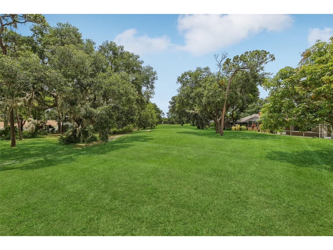 3062 Sutton Woods Drive Plant City FL 33566 TB8392934 image41