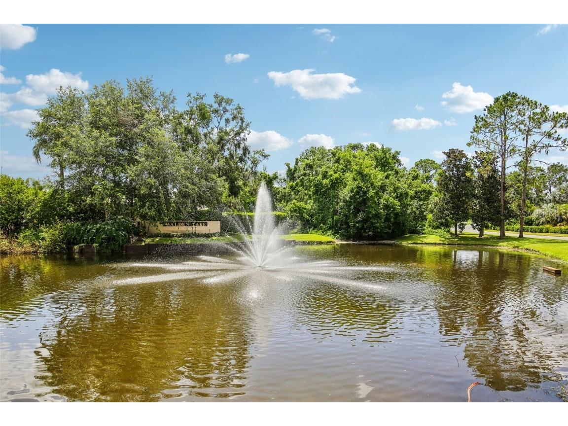 3062 Sutton Woods Drive Plant City FL 33566 TB8392934 image45