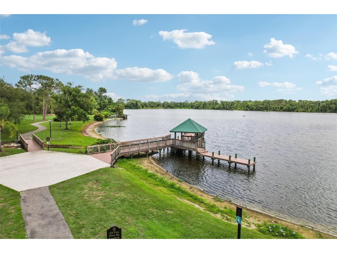 3062 Sutton Woods Drive Plant City FL 33566 TB8392934 image46